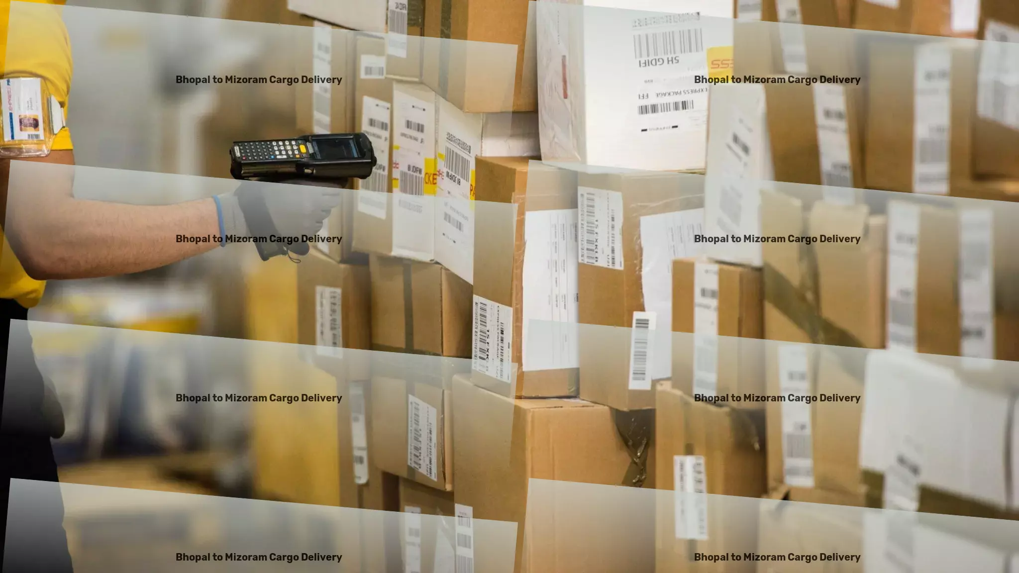 Delhi to Dongargaon For Girls' Athletic Socks - Freight logistics