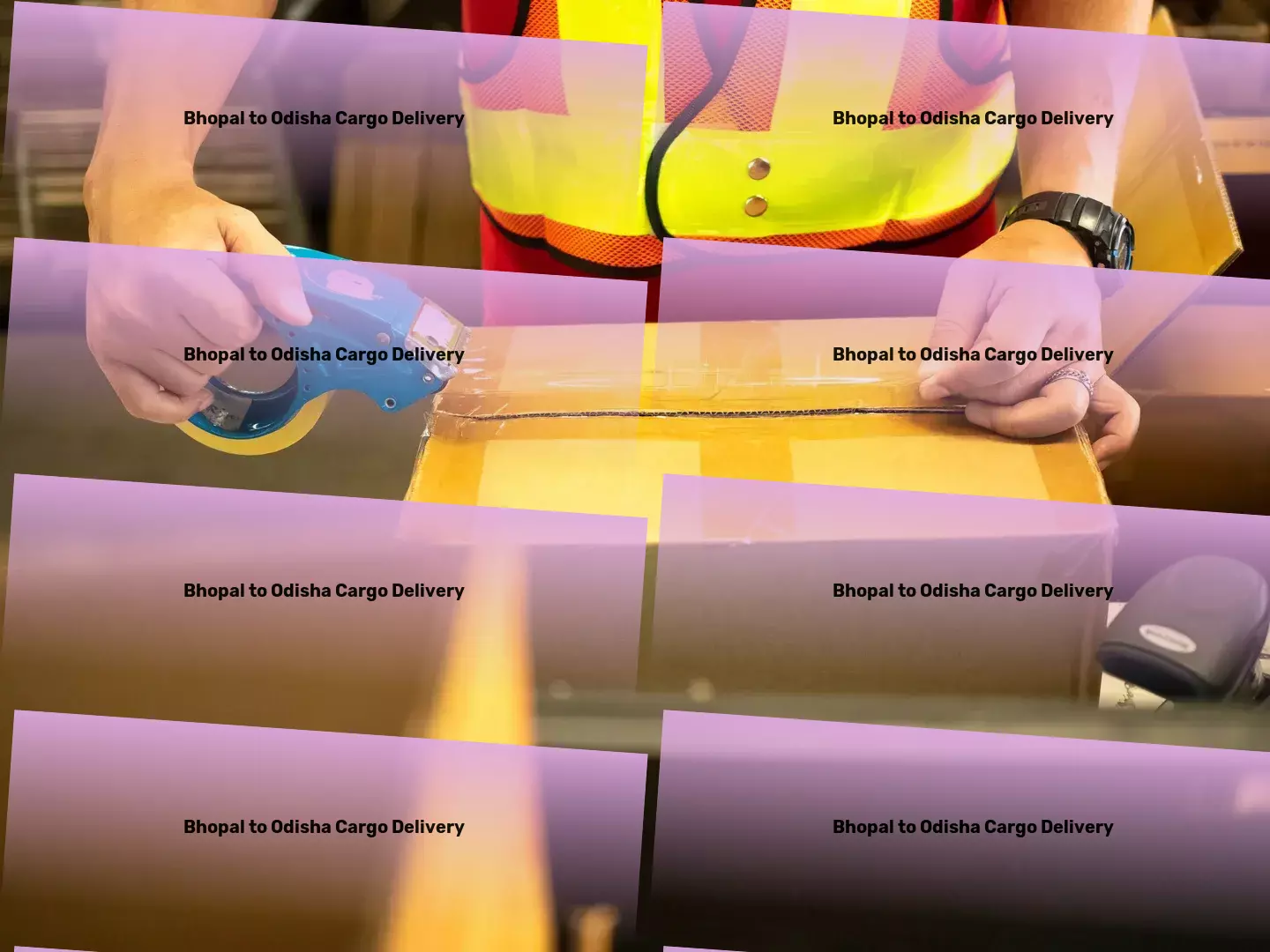 Bhopal to Odisha Cargo Delivery Bridging distances with exceptional Indian travel services! - Dedicated logistics solutions