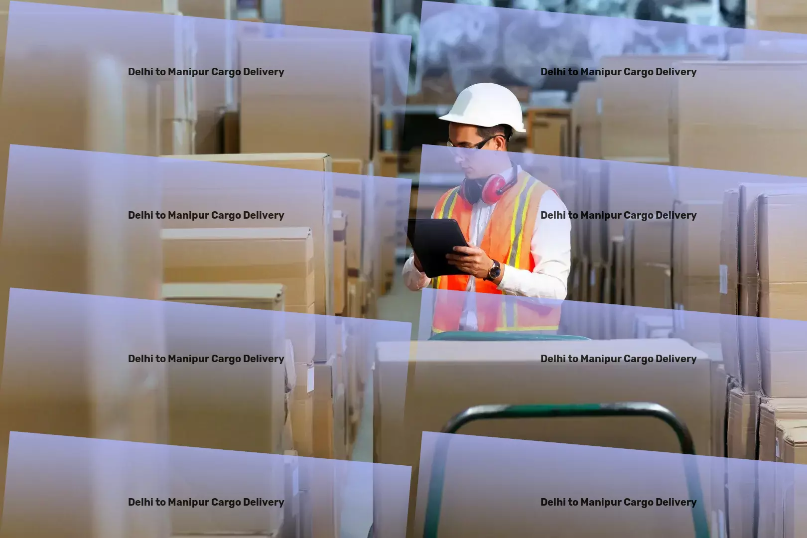 Delhi to Manipur Cargo Delivery Your compass for navigating Indian transport terrains! - Package distribution services