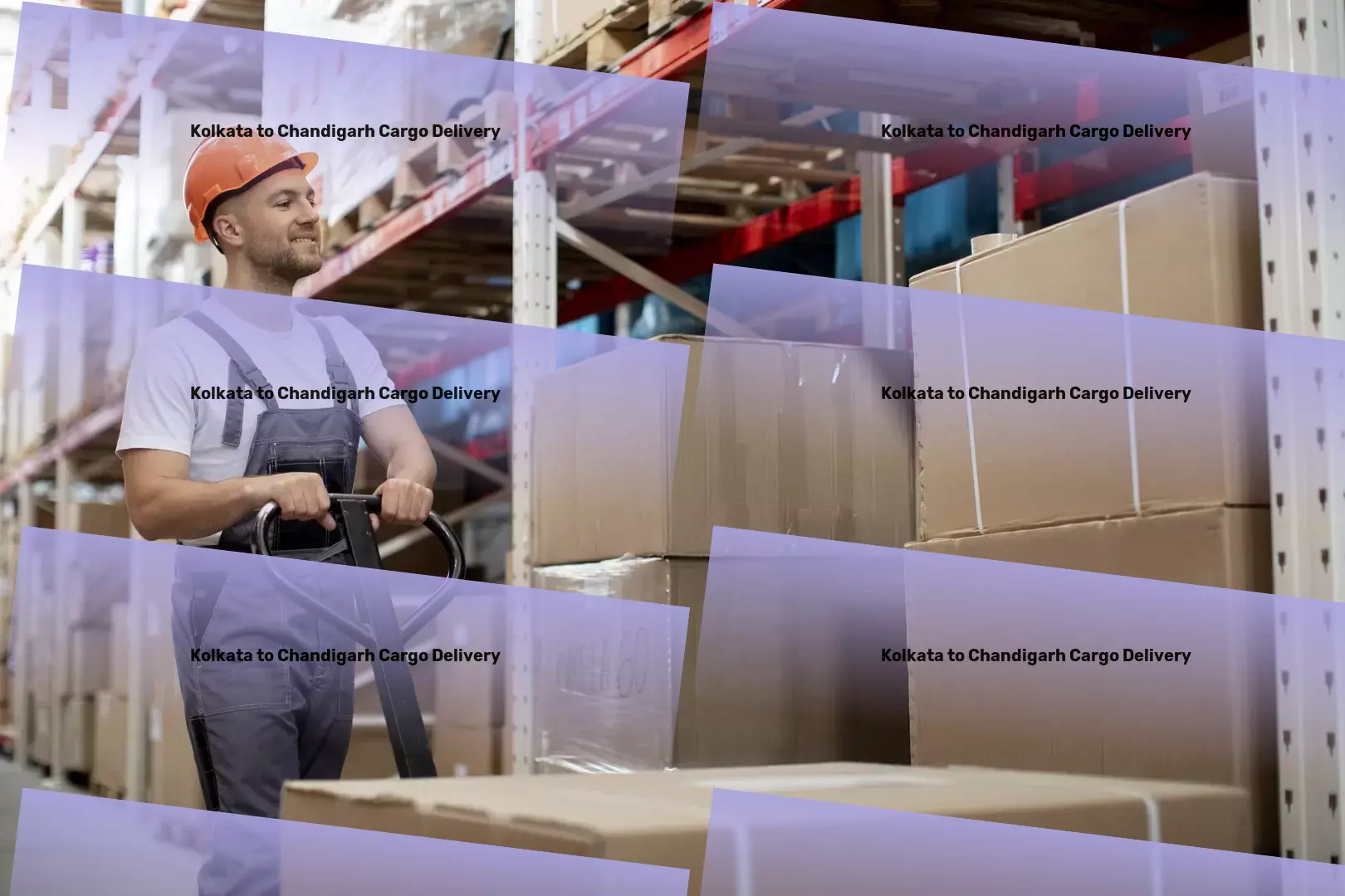 Kolkata to Tadikalapudi For Child Safety Cabinet Straps - Direct door delivery